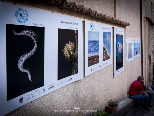 Il Mare ad Altomonte > 1 agosto 2019 Il Mare ad Altomonte > 1 agosto 2019