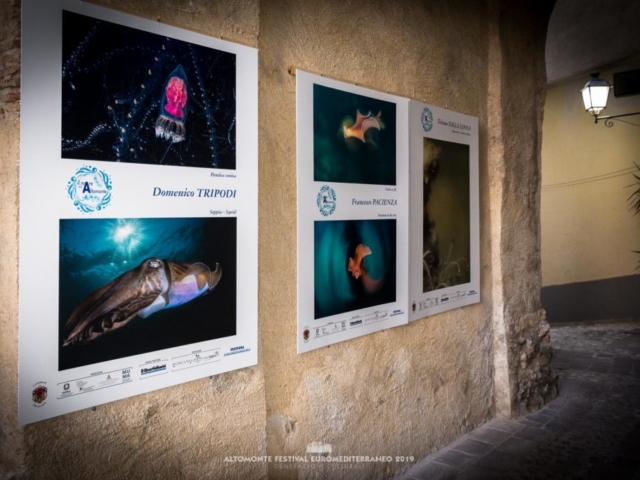 Il Mare ad Altomonte > 1 agosto 2019 Il Mare ad Altomonte > 1 agosto 2019